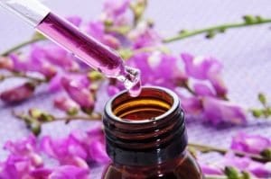 Flores de bach y Reiki para animales