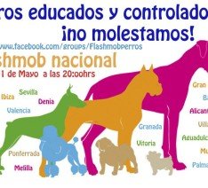 Flashmob nacional 234x212 1 aprovechando que el día 31 de mayo se ha celebrado un flashmobperros en 20 ciudades españolas bajo el lema de: perros educados... ¡no molestamos! , quería hacer hincapié en la educación canina, pero no en la de los "perros" sino en la de los dueños.