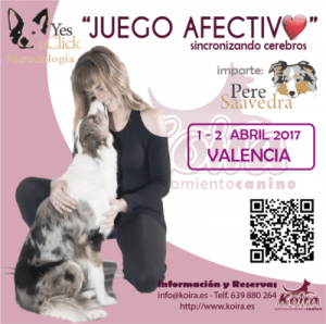 Curso Juego Afectivo sincronizando cerebros impartido por Pere Saavedra metodología Yes&Click