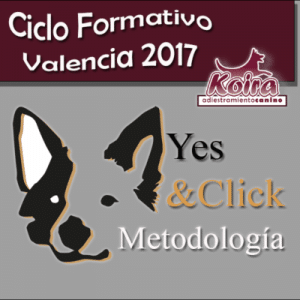 Post ciclo formativo Yes&Click Valencia 2017