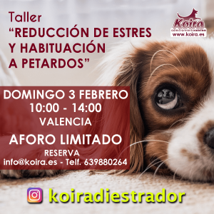 20190203 Taller reduccion de Estres y habituacion a petardos instagram