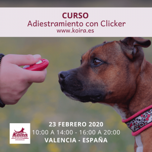20200223 Curso Adiestramiento con Clicker 1080x1080