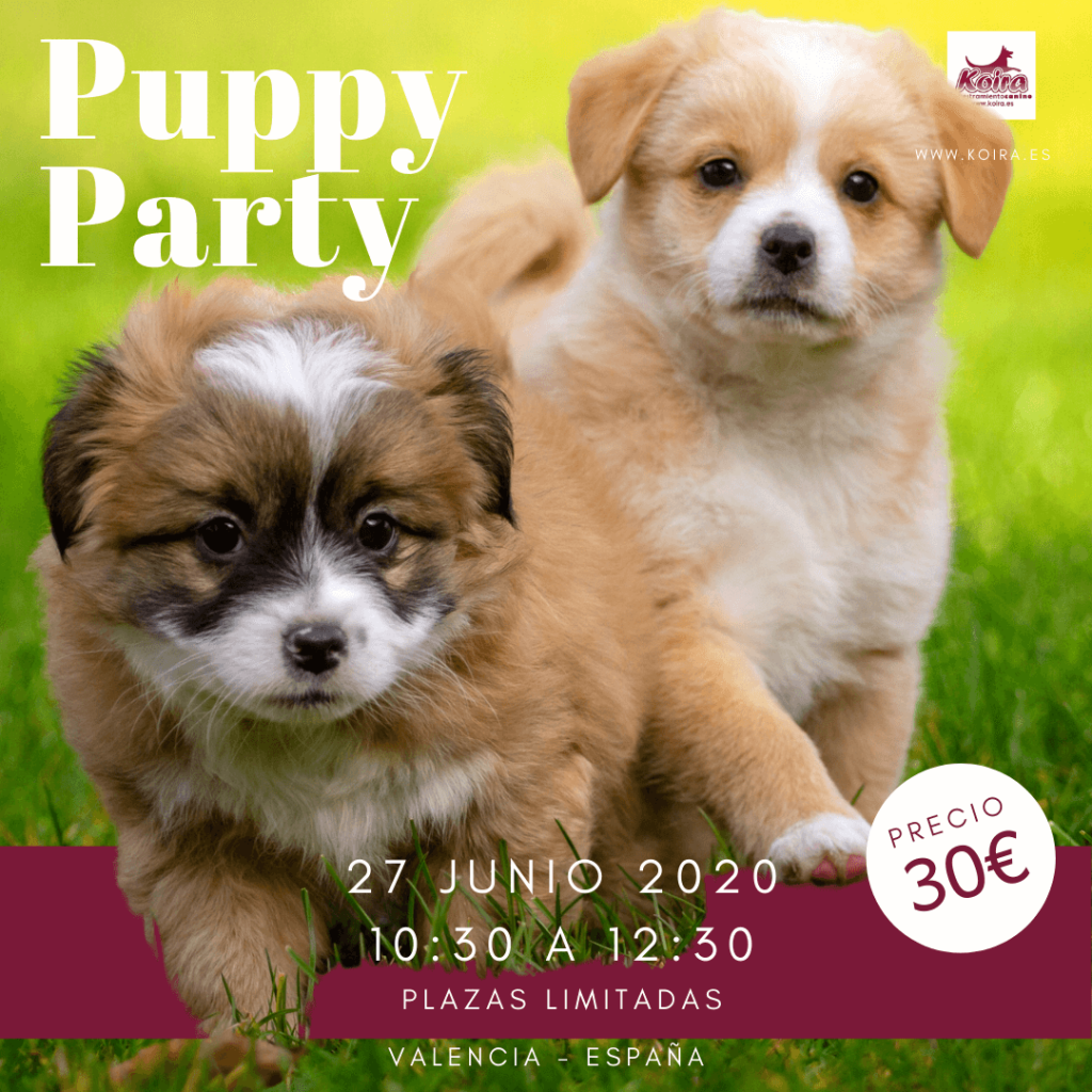 20200610 Puppy Party Junio nuevo