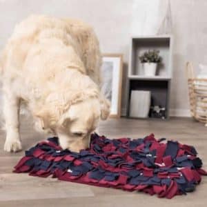 KOIRA Adiestramiento Canino sorteo de Alfombra olfativa de Trixie