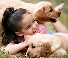 Perros y niños: que saber antes de reunirlos1