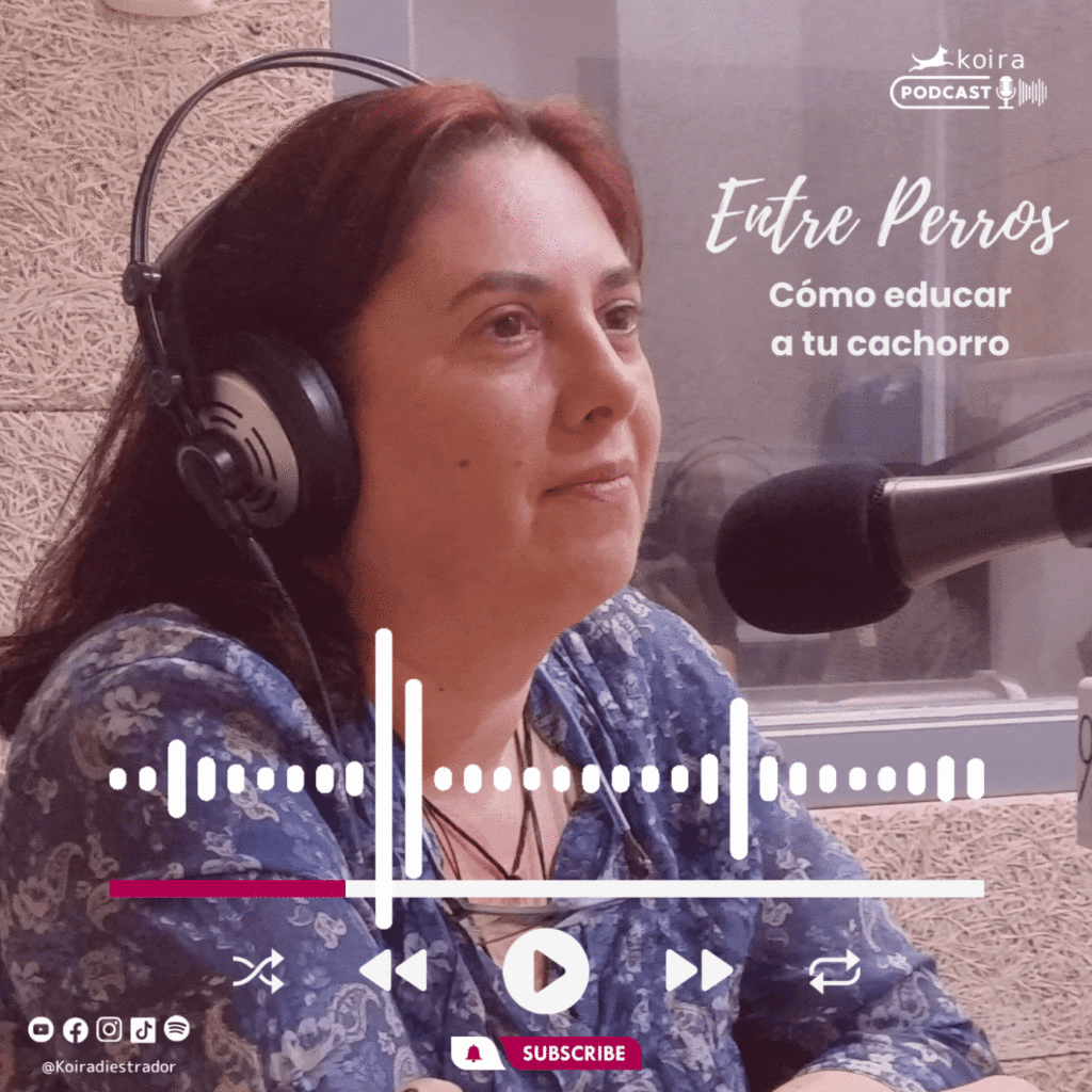 ENTRE PERROS 9 - como educar a tu cachorro