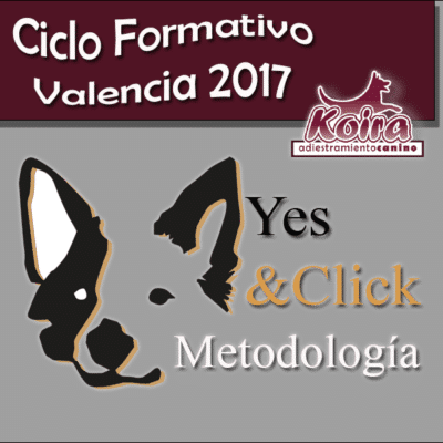 Post ciclo ciclo formativo yes & click en valencia, imparte pere saavedra. Organiza koira adiestramiento canino. Consulta la fechas programadas.