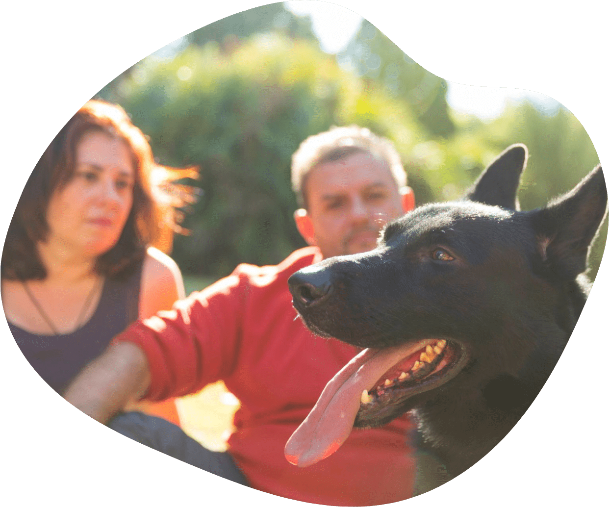 Dog coaching ¡contacta con nosotros o inscríbete al club koira