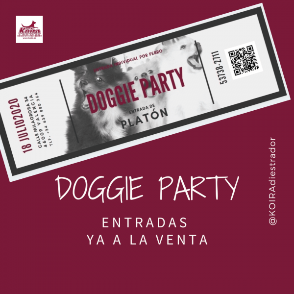 20200707 Doggie party 1080×1080 web 20200707 Doggie party 1080x1080 web