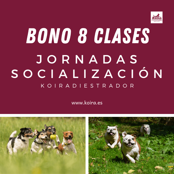Bono 8 entradas socializacion Bono 8 entradas socializacion