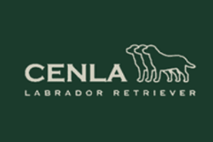 Logo Cenla Labrador residencia canina 300×200 Logo Cenla Labrador residencia canina 300x200
