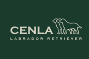 Logo Cenla Labrador residencia canina 300x200